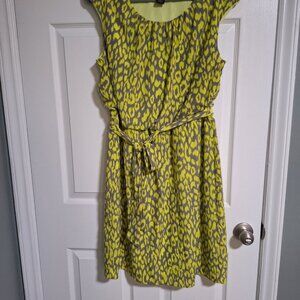 Chic Lime Green and Gray Leopard  Blouson Dress Size 14